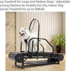 Dog Treadmill🐶
