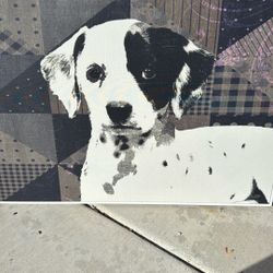 Dog Painting