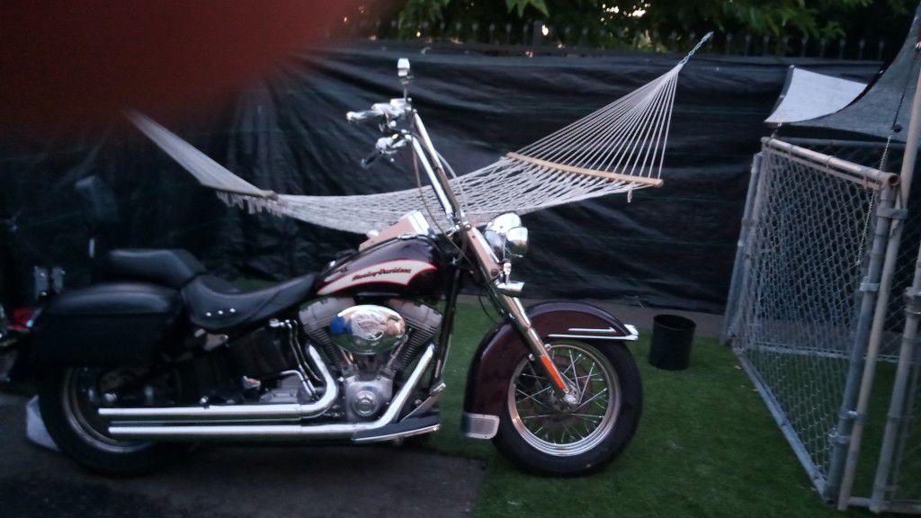 Photo 2006 Harley Softail