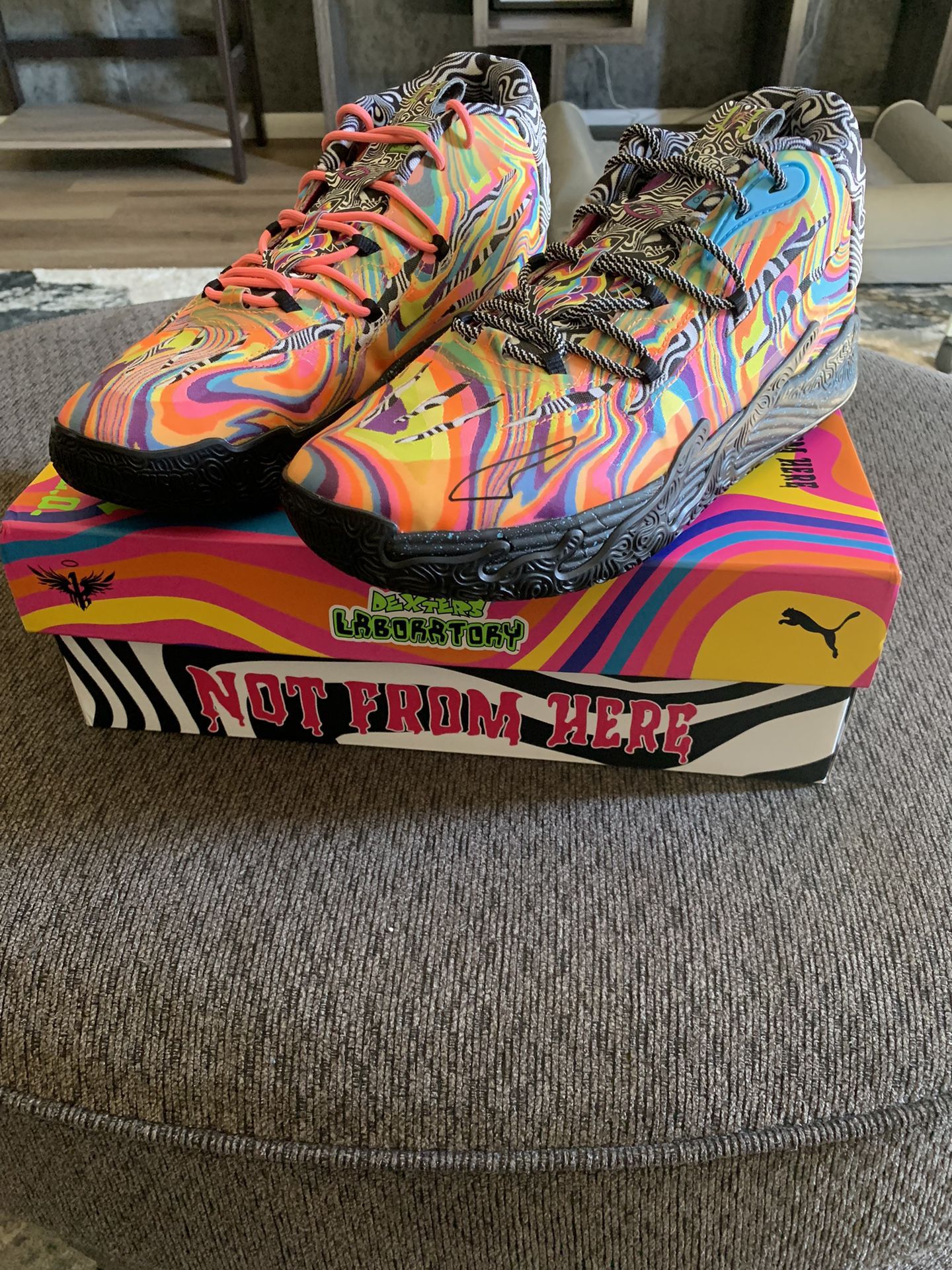 MB.03 Dexter’s laboratory