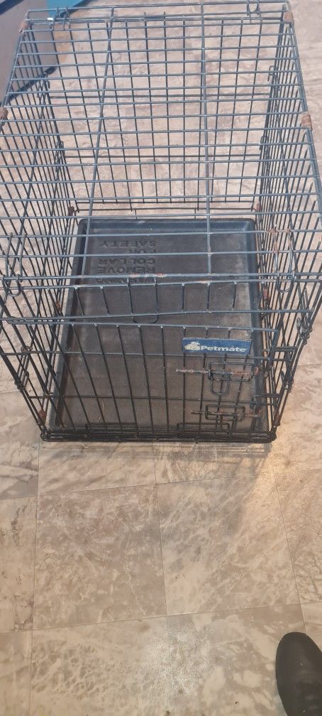 Dog Cage