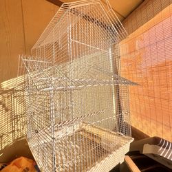 Bird Cage 