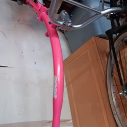 Wee Ped Bike Trailer