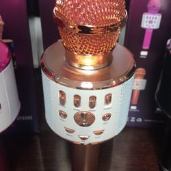 Microphone & Bluetooth Speaker