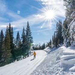 3 Day Passes To Winter Park For $150 Each