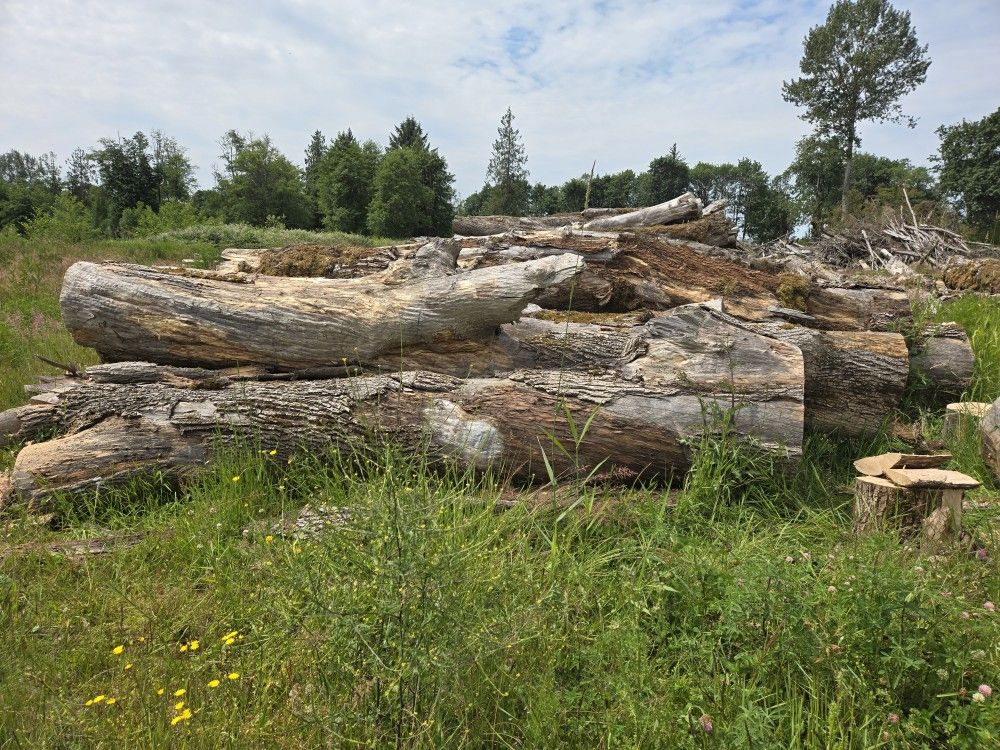 🔥FIREWOOD🔥