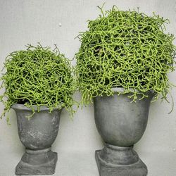 Topiary Faux Fern Plants Potted Ceramic 18" Pair