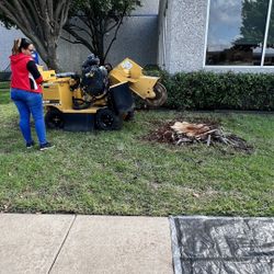 Stump Grinding 