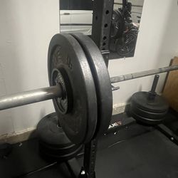 Rogue Bumper Plates And Barbell