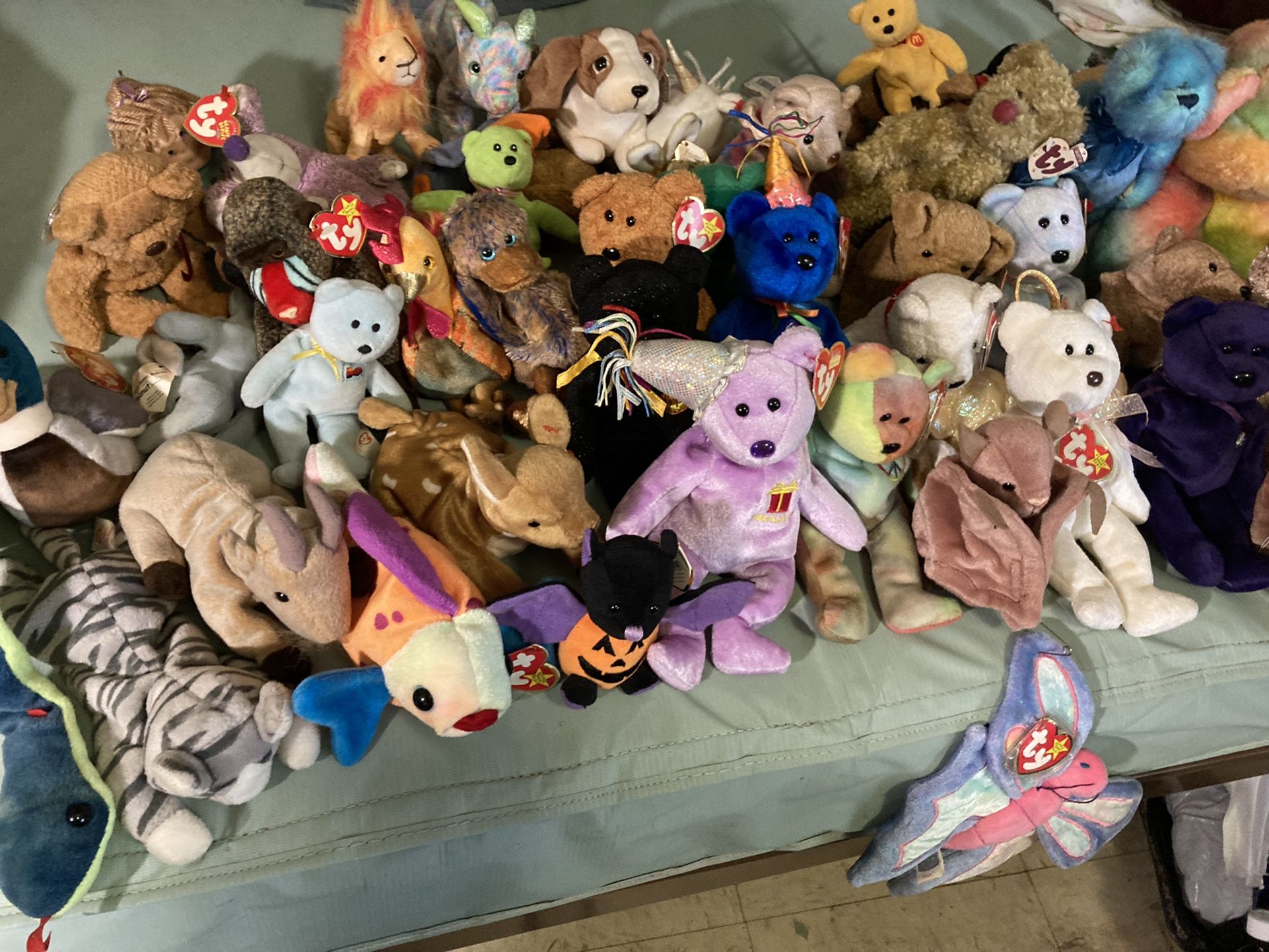 Beanie Babie  Collection