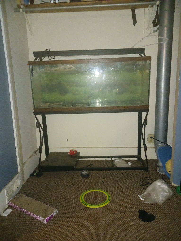Full Sized Fish Tank With Stand And Light