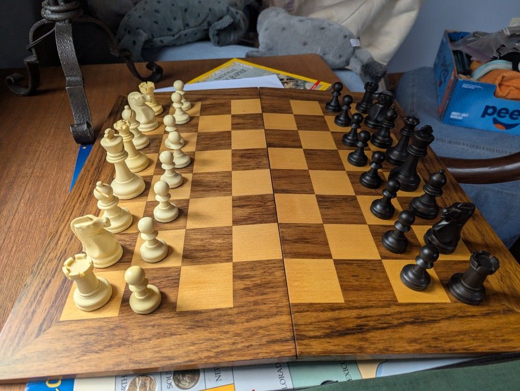 Chess Set With Case