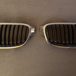 BMW 320i OEM Grills 