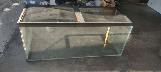 Large Glass Reptile or Fish Tank with Screen Lid