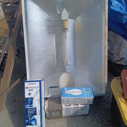 Big Light For Plants