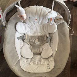 Baby Bouncer