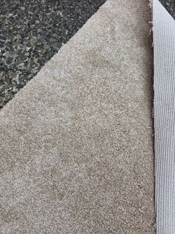 Carpet