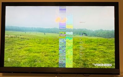 FREE- 65” Sony Bravia Flat Screen TV – Glitchy Display