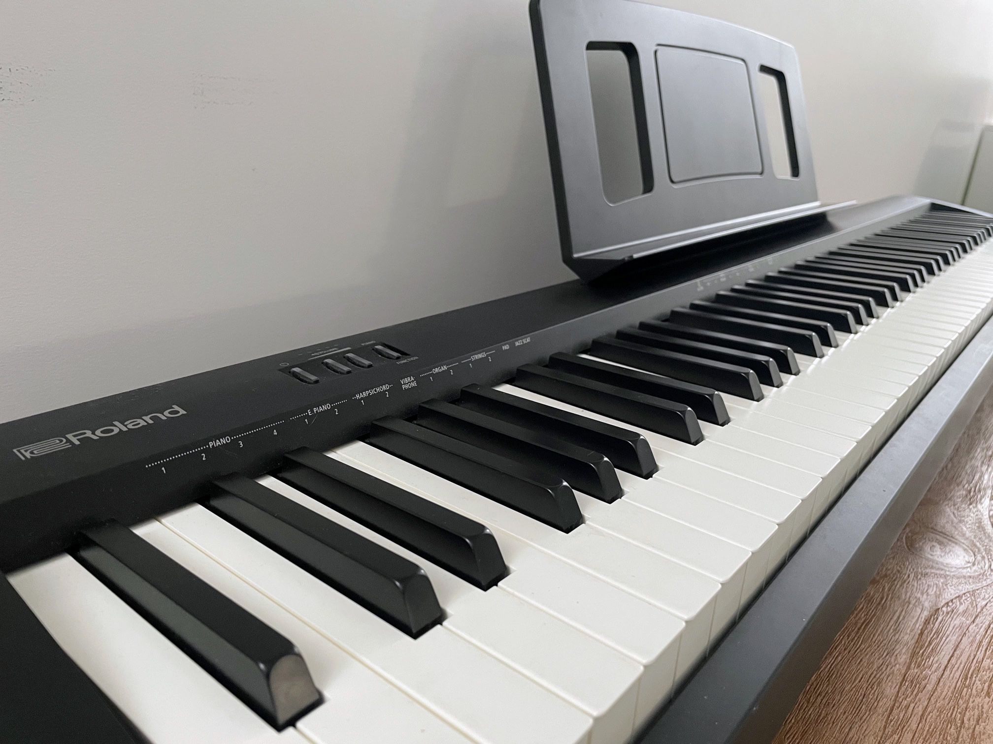Roland FP-10 Digital Piano (88 key)