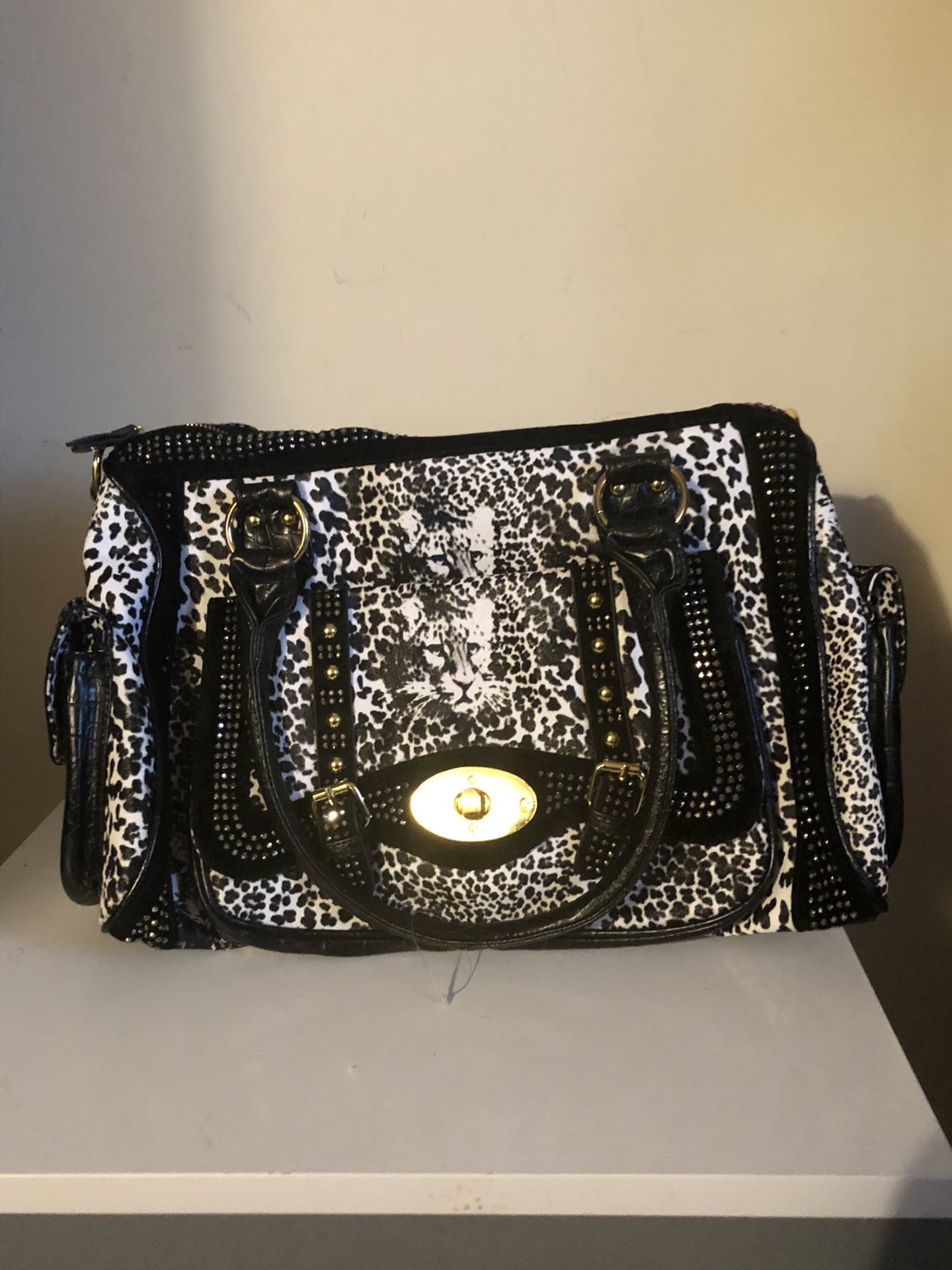 Multiple Compartment Bag