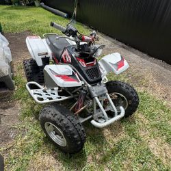 Yamaha Blaster VFORCE 4