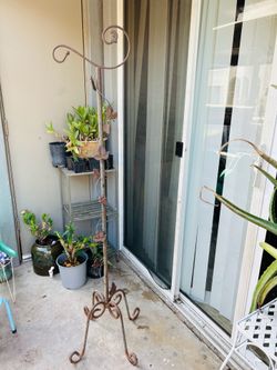 Stand plant 20