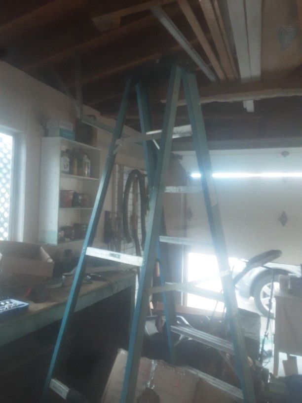 Large Heavy Duty Ladder