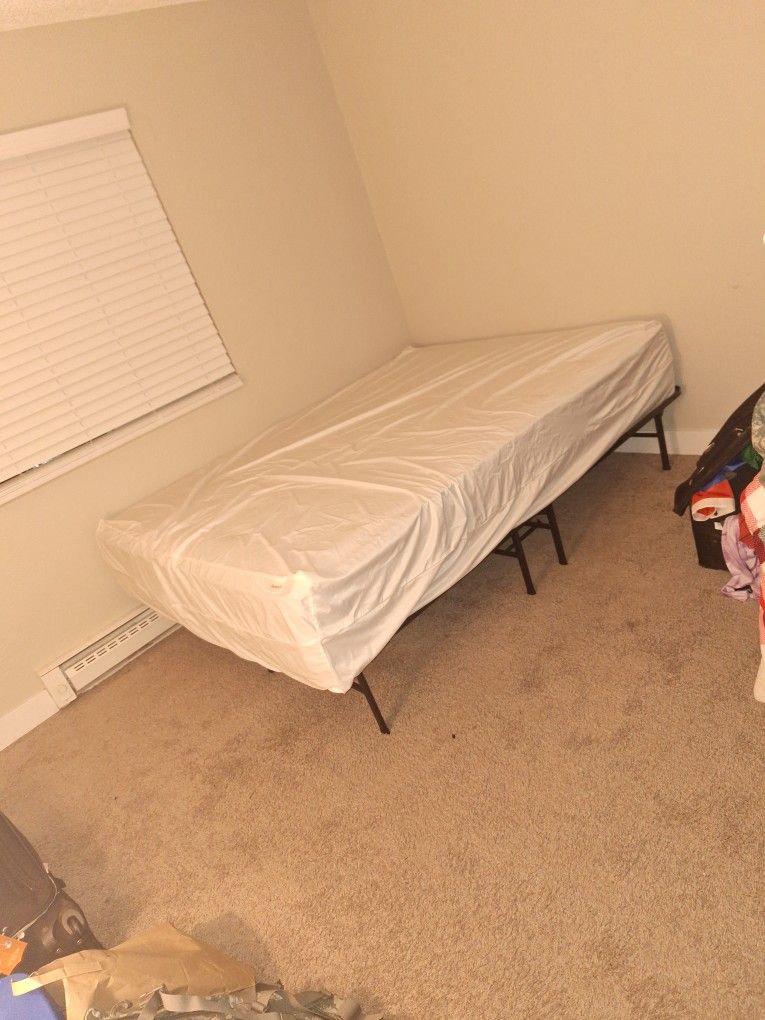 bed and bed frame