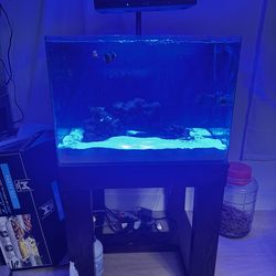 30 Gallon JBJ Saltwater Fish Tank Aquarium