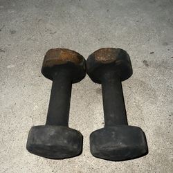 10lb Dumbbells Pair $10 For Both 