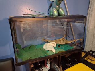 Reptile cage
