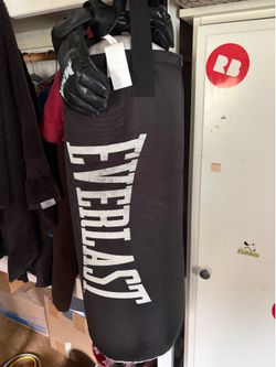 Everlast boxing bag.