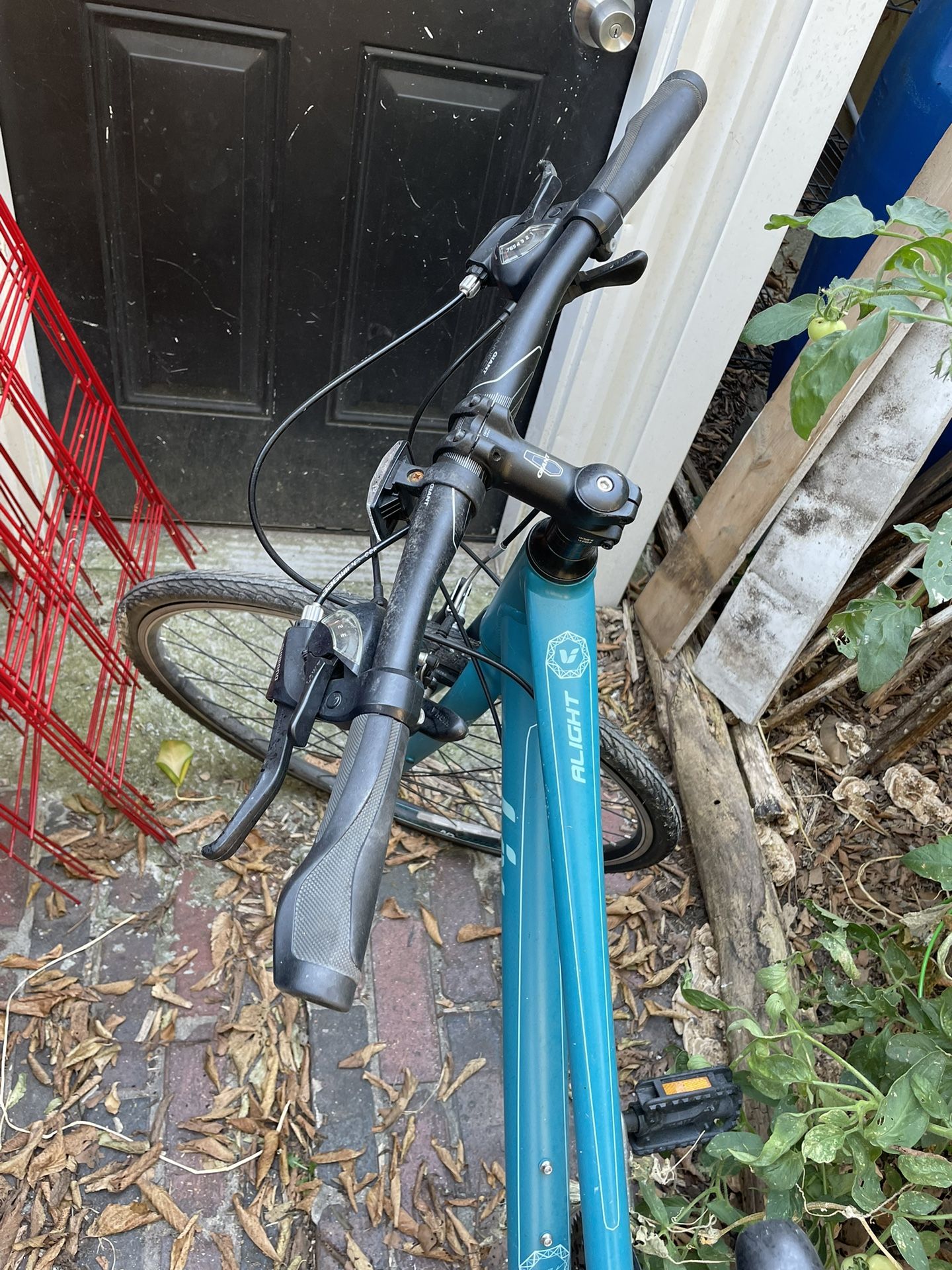 Alight Bicycle + Helmet 