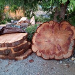 Big redwoods rounds,Dry 4years ! Live Edge .