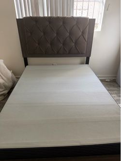 Free bed and box spring !
