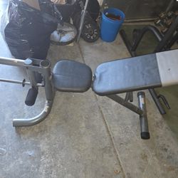 Workout Bench.