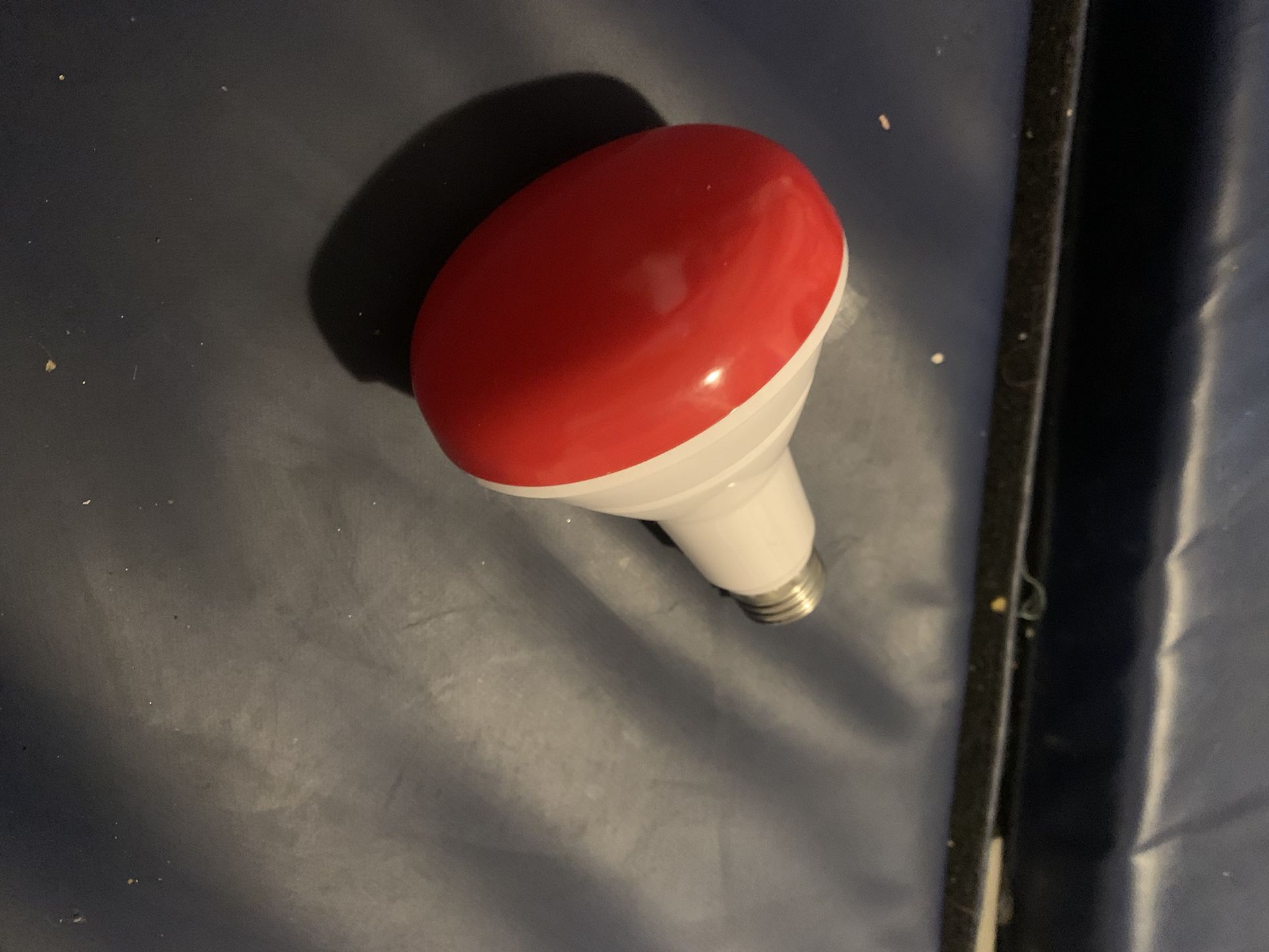 Red Light Bulb