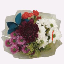 Daily Gift