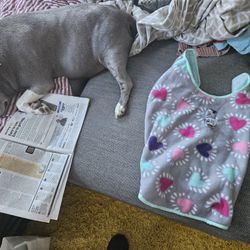 Dog Coat Handmade