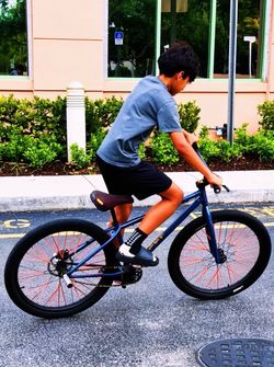 Bike - Mafia Bomma