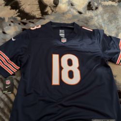 Bears Jersey
