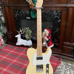 Fender American Professional Telecaster Hum-w/maple Fingerboard