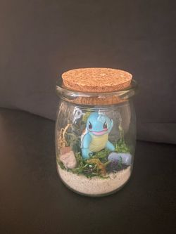 Squirtle Pokémon Terrarium