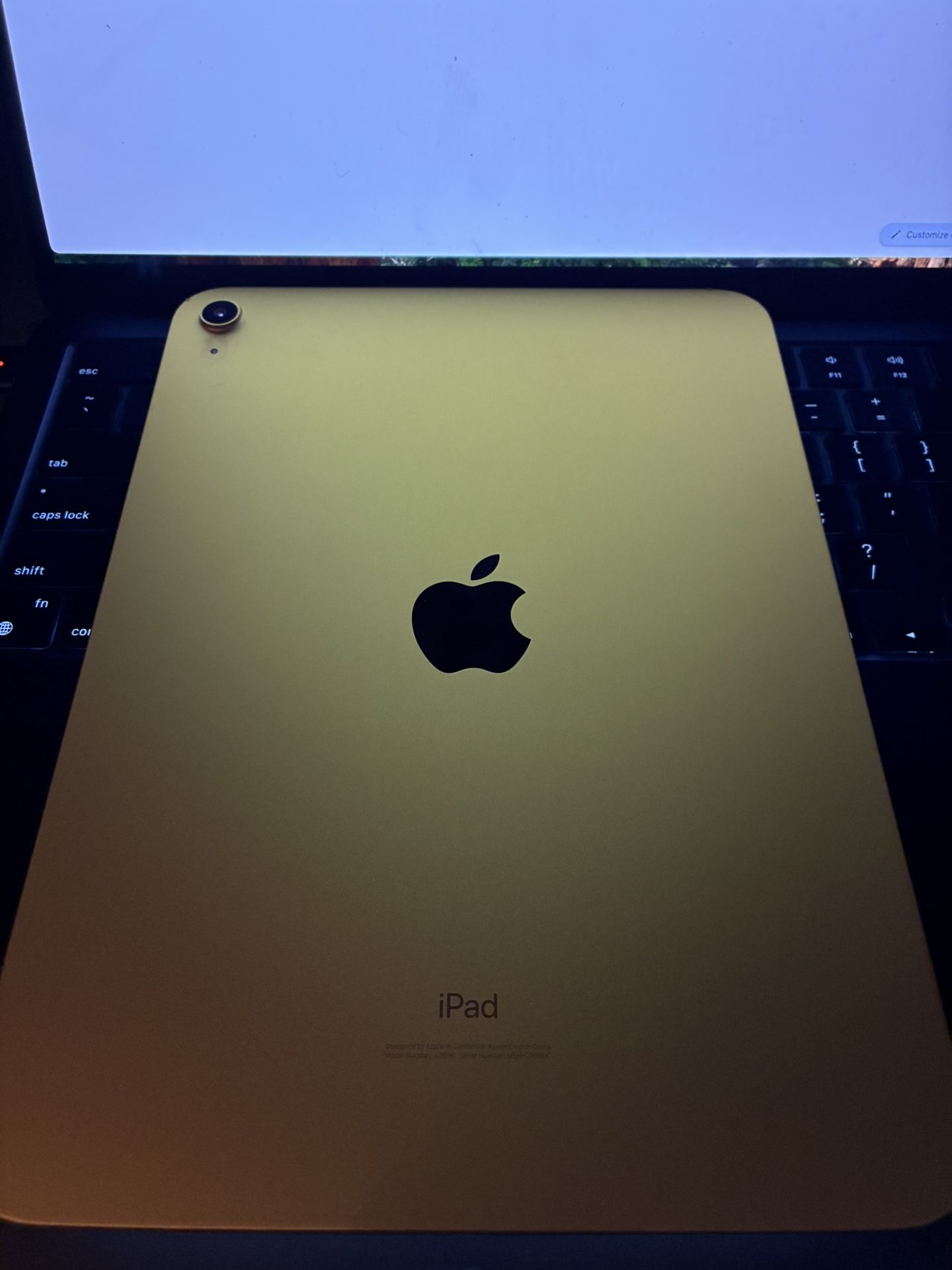 iPad 10th generation 256gb with Magic Keyboard