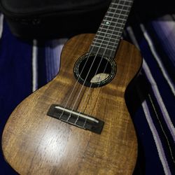 Beautiful UKULELE New Shape Condition 