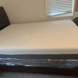Bed Frame With mattress 
