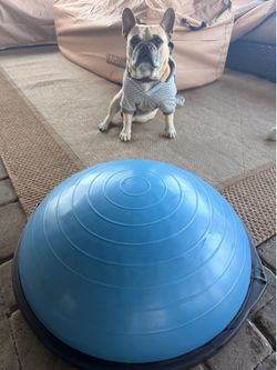 Bosu Ball