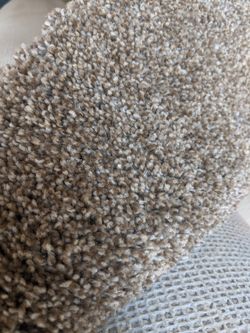 New carpet 12x18