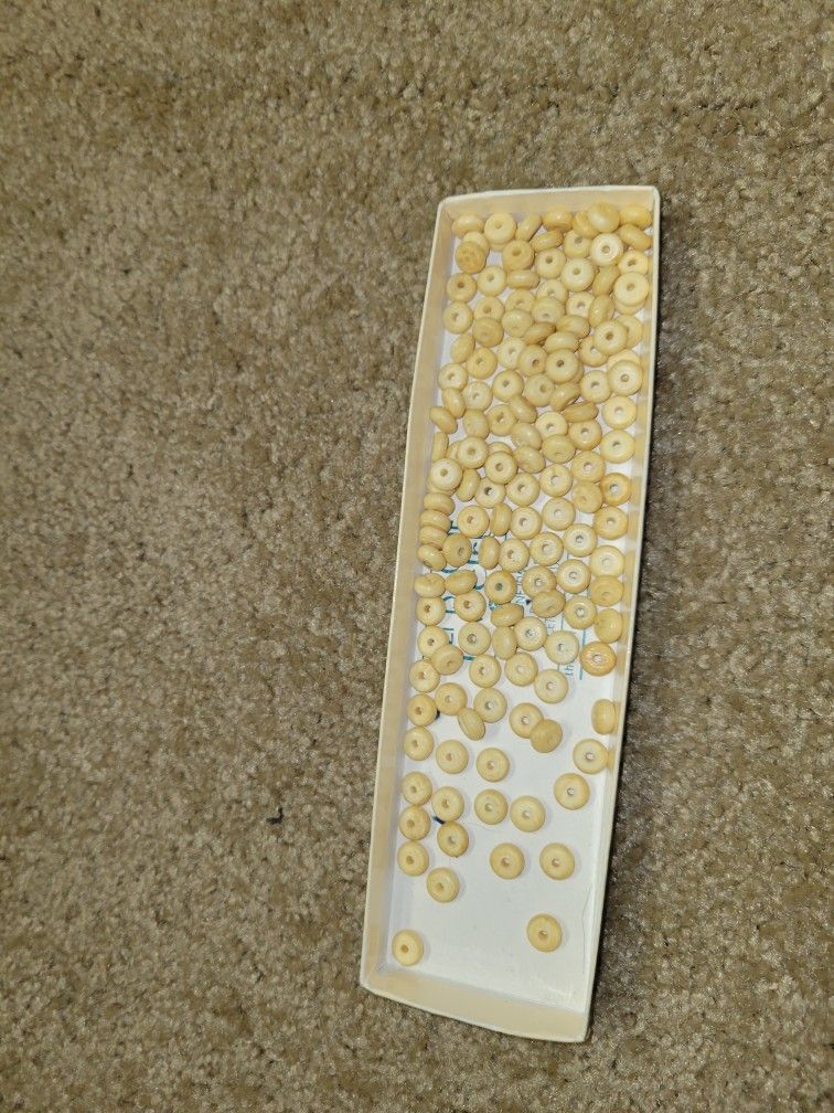 Bone Beads