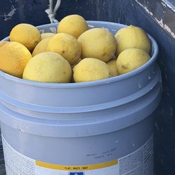 Limones amarillos recién cortados